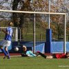 sc hartenfels torgau - bornaer sv 08.11.2015  7